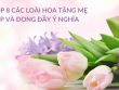 hoa tặng mẹ