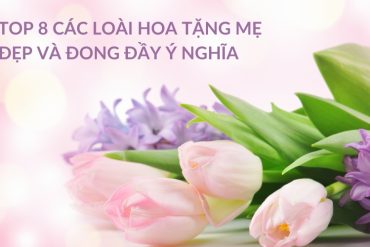 Top 8 Thương Hiệu Sốt Mayonnaise Ngon Được Ưa Chuộng Nhất Trong Các Bữa Ăn